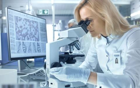 Hämatologie - Anämien