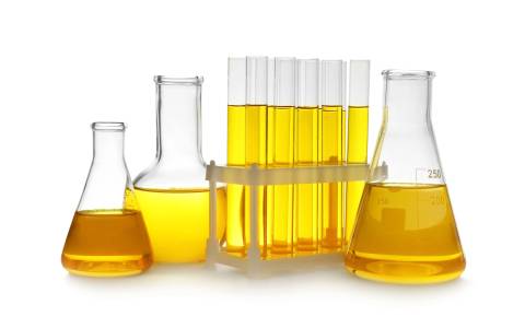 Urindiagnostik meistern