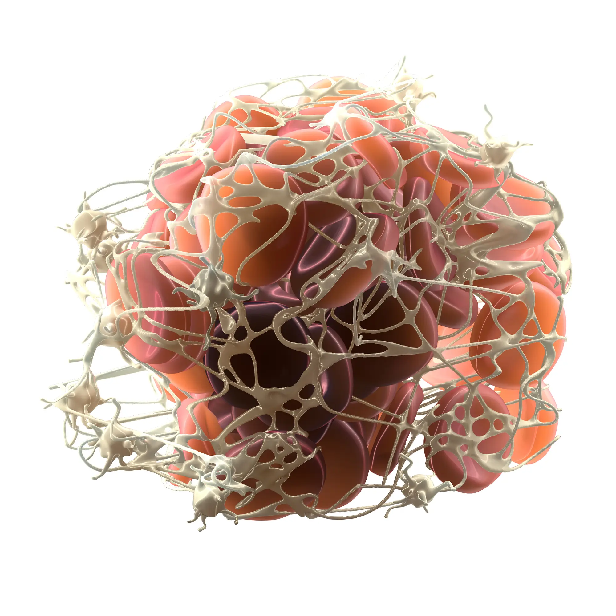 Differenzialblutbild Training