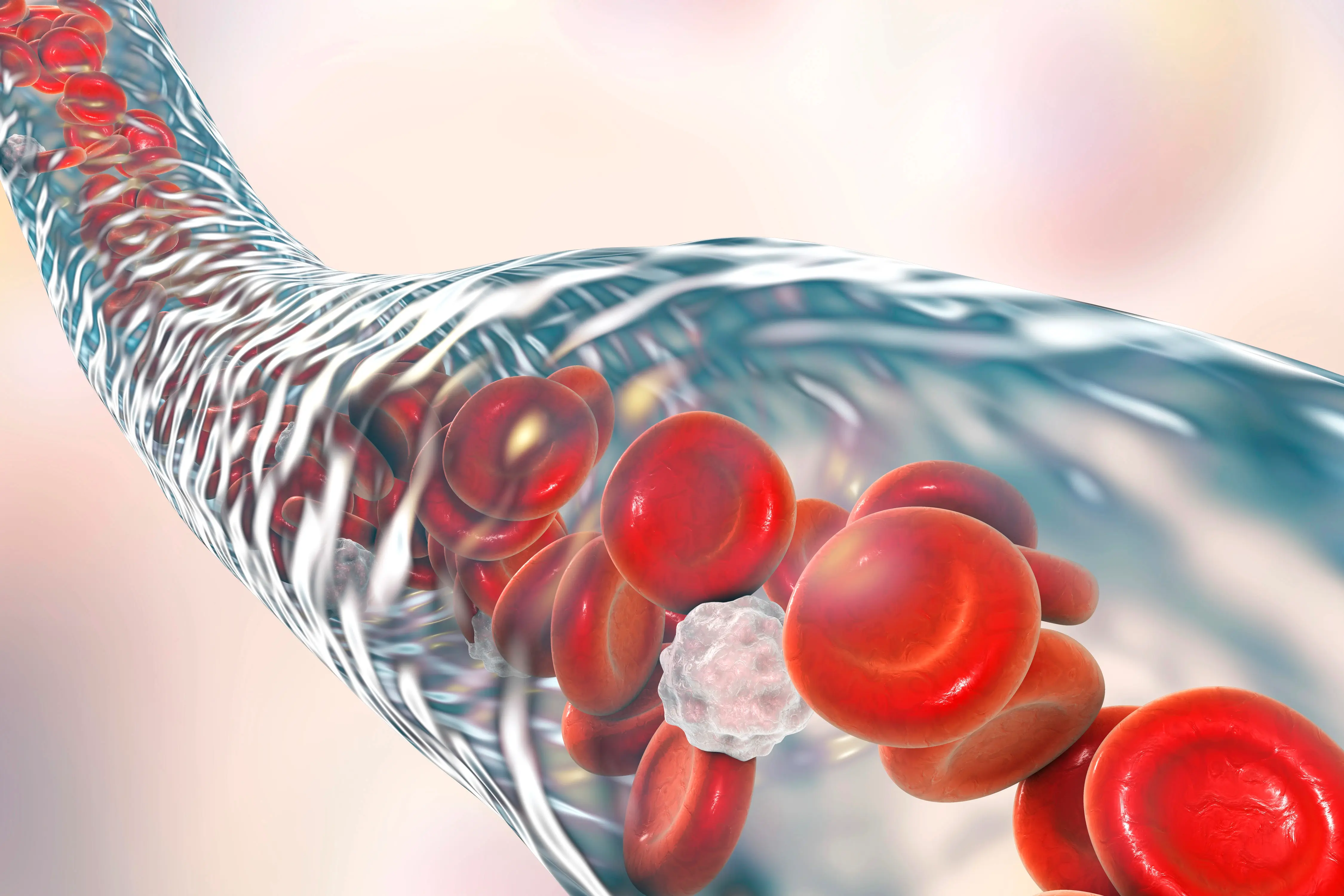 SZ07 – Transfusionsmedizin (Simulator)