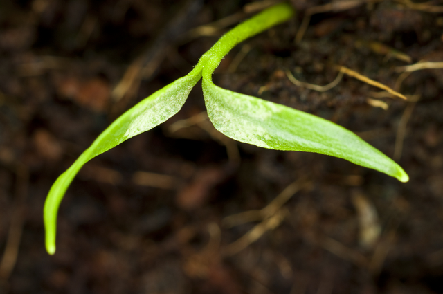 Depositphotos 6067862 m 2015
