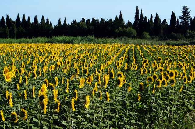 Lesen und entspannen